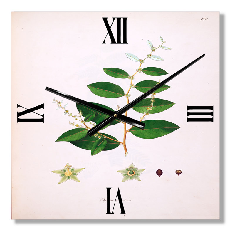 Horloge murale Plant Life, Grand