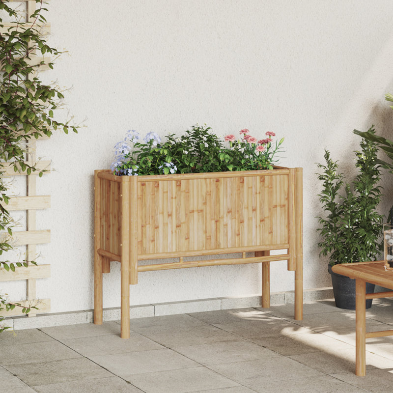 Pot Planter, 70cm H x 90cm W x 35cm D