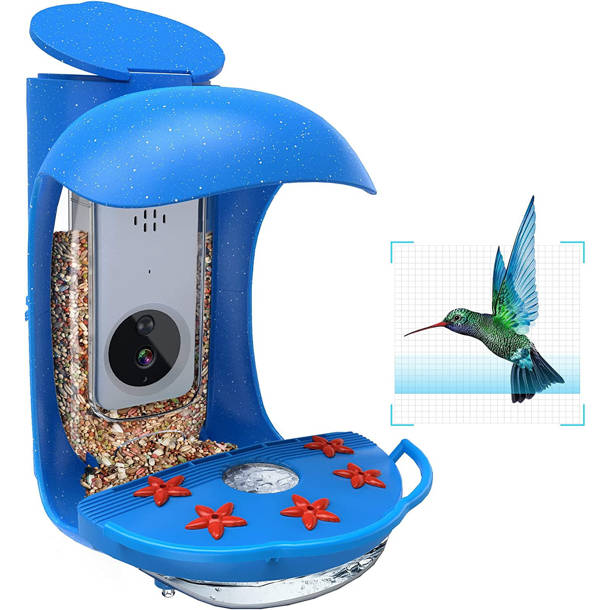 Birdfy Feeder: Mangiatoia Intelligente Per Il Birdwatching Tecnologico