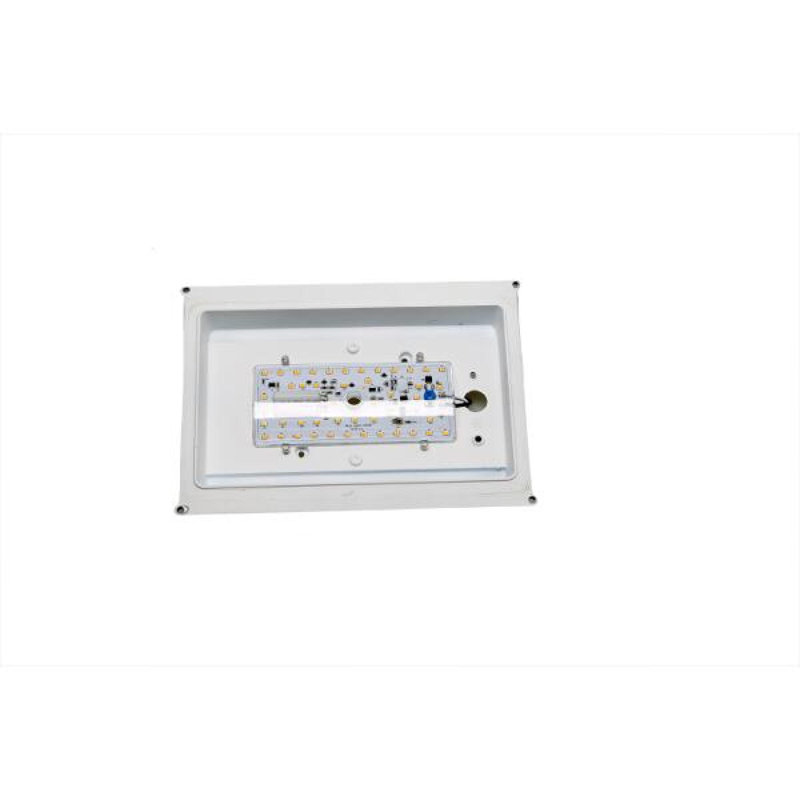 LED Wall Light, White