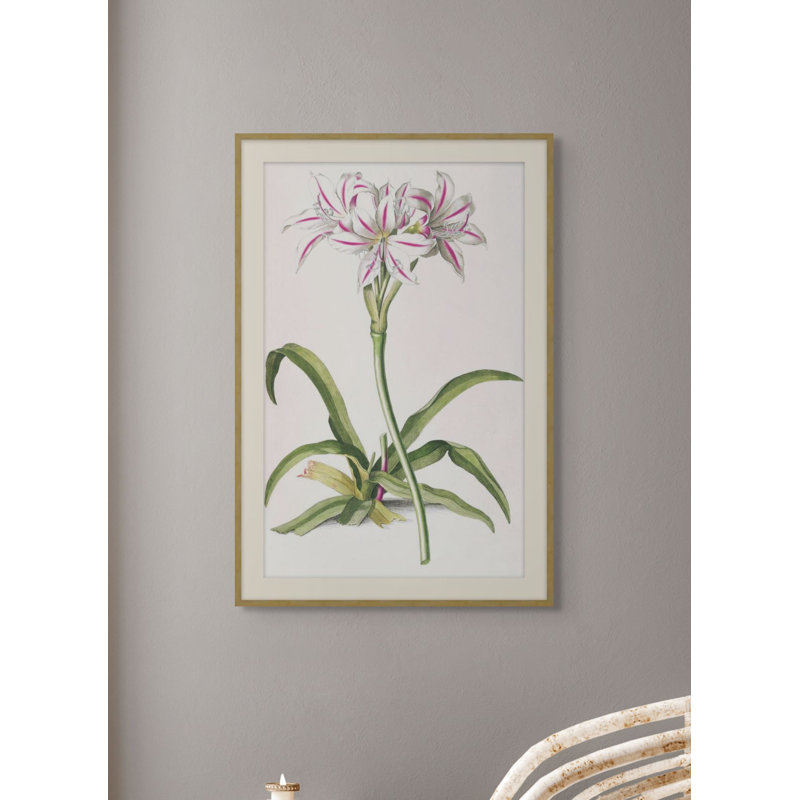 Lilium 2 Print, 49.48" H x 33.48" W