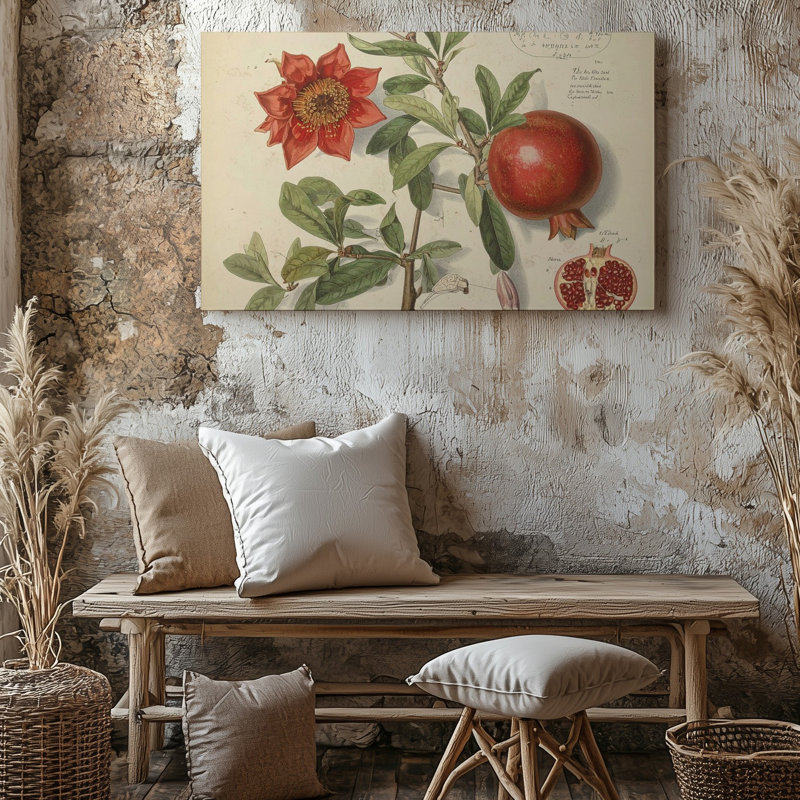 Reproduction d'art sur toile, grenade, botanique, H 9 po x l 12 po