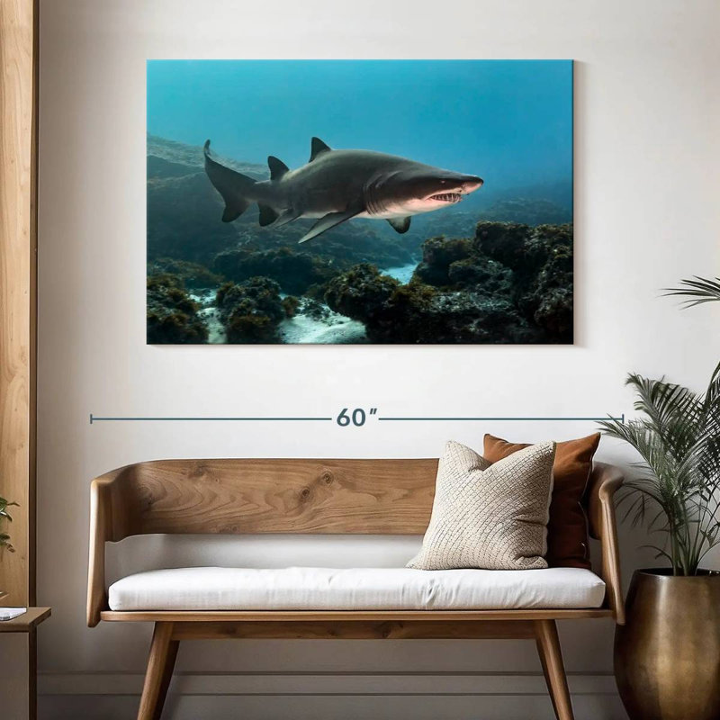 Aliwal Shoal Shark, 32" H x 48" W