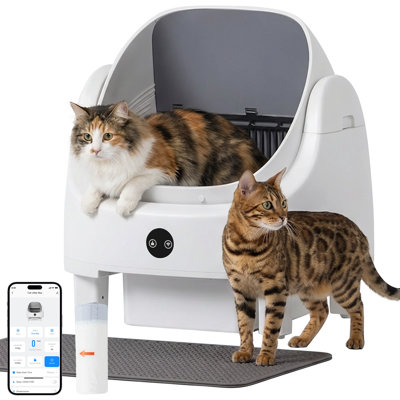 Self-Cleaning Litter Box