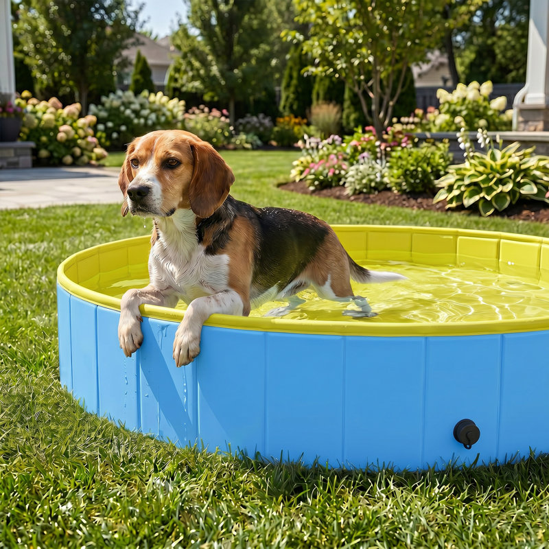 30cm H x 120cm W x 120cm D Dog Pool