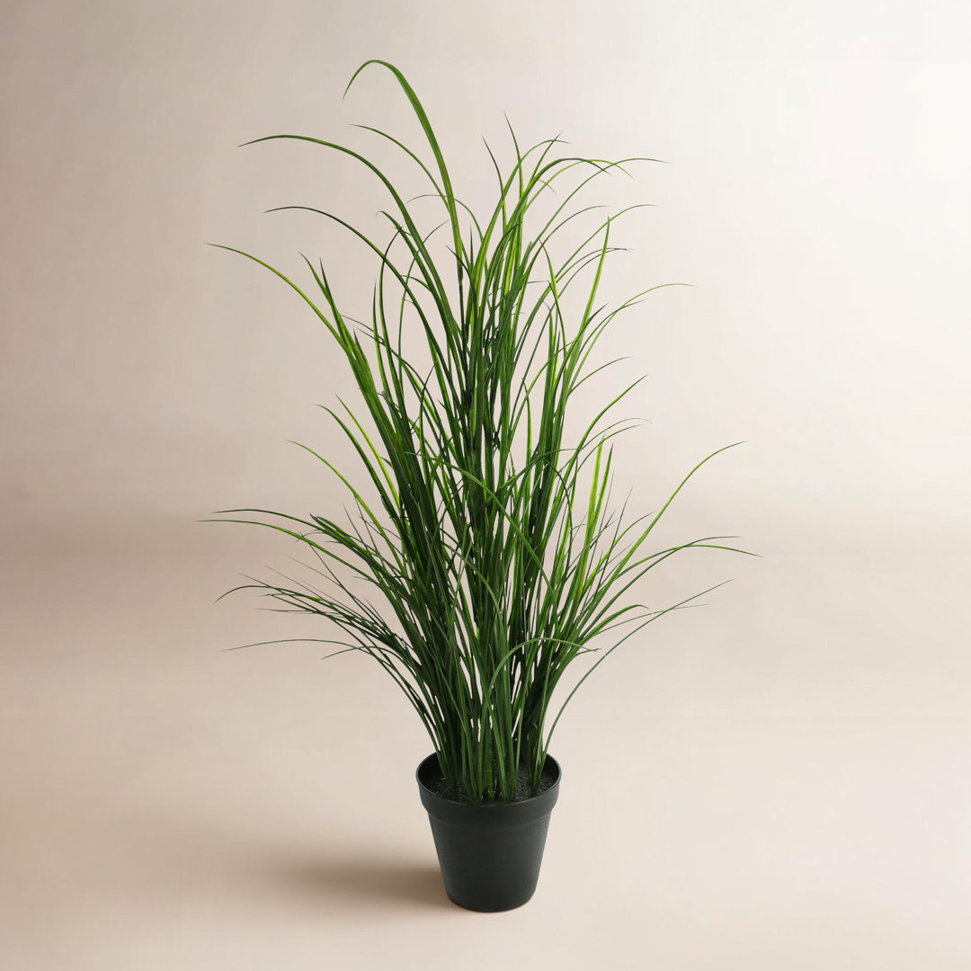 Outdoor UV Rated Grass Drop-In AllModern