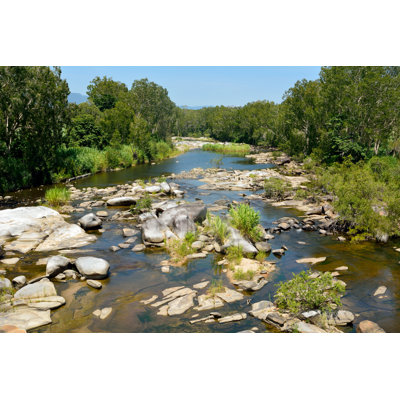Euless Finch Hatton Gorge Queensland - Wrapped Canvas Print