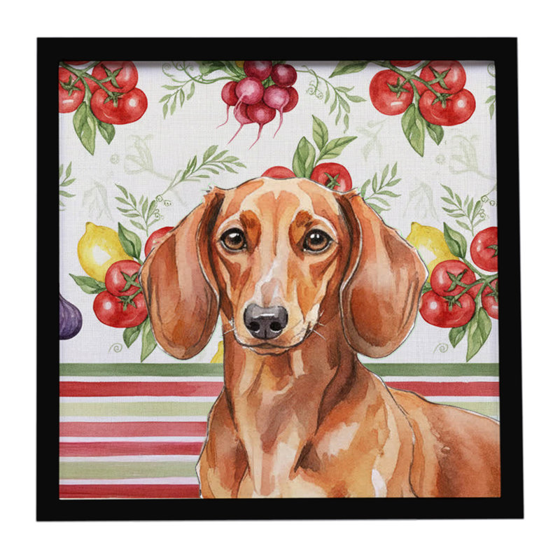«Red Dachshund Légumes», impression sur métal encadrée
