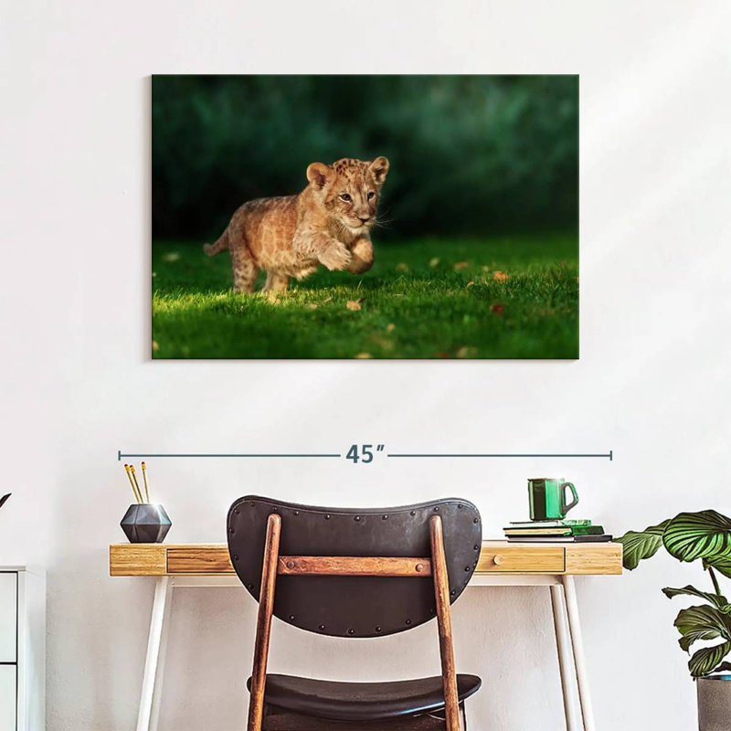 Brampt Frolicking Baby Wild Cat