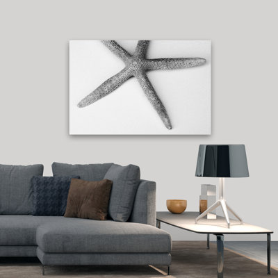 Coastal And Beachy Starfish Detail