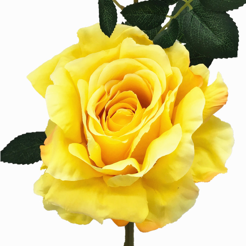 Fleurs et roses, Jaune