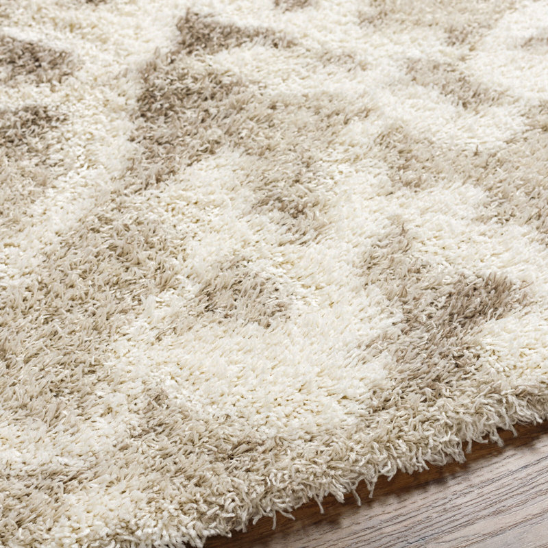 Shag Area Rug, Rectangle 130 x 170 cm