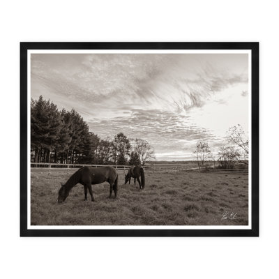 Grazing II Print by Tim Klein
