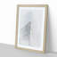 Sketching the Architecture Vol.36 - Picture Frame Drawing Print-55733359-55733363