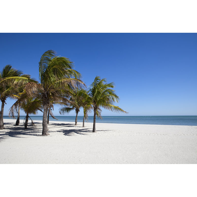 Crandon Beach par Inhauscreative, H 24 po x l 36 po