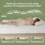 Surmatelas en rayonne de bambou BEDLORE®, surmatelas avec poche profonde de 6 à 18 po, surmatelas moelleux pour soulager les maux de dos-130776780-130776777