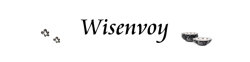 Logo wisenvoy