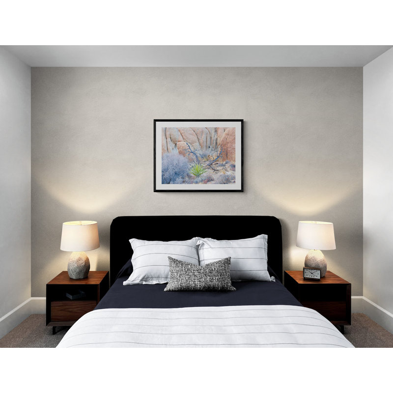 Joshua Tree Still Life Print by Bruce Heinemann, Black Framed Paper, 25.2" H x 31.2" W