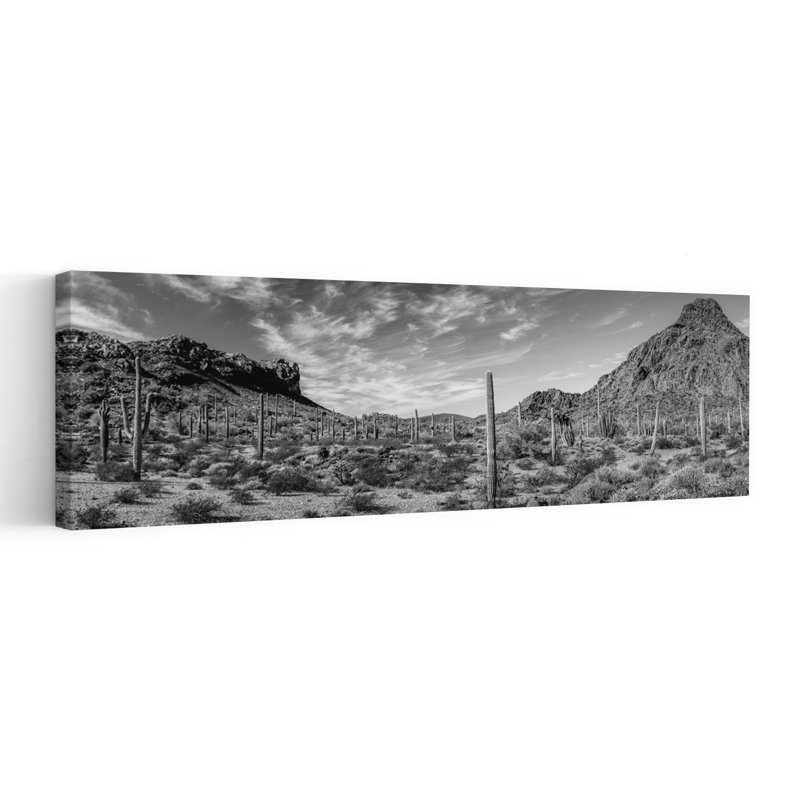 Various Cactus Plants In A Desert Organ Pipe Cactus National Monument Arizona USA by Jim Wiebe - Wrapped Canvas Panoramic Print