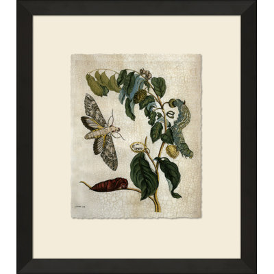 Crackled Insect Collection 1 Painting