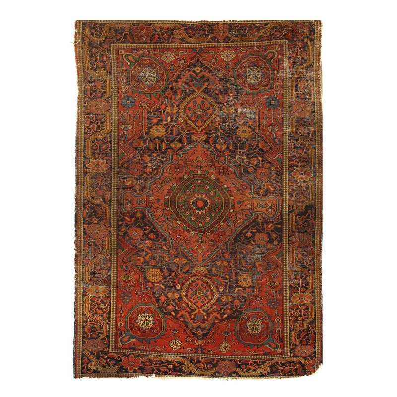 Mahiya Cotton Oriental Area Rug in Rust