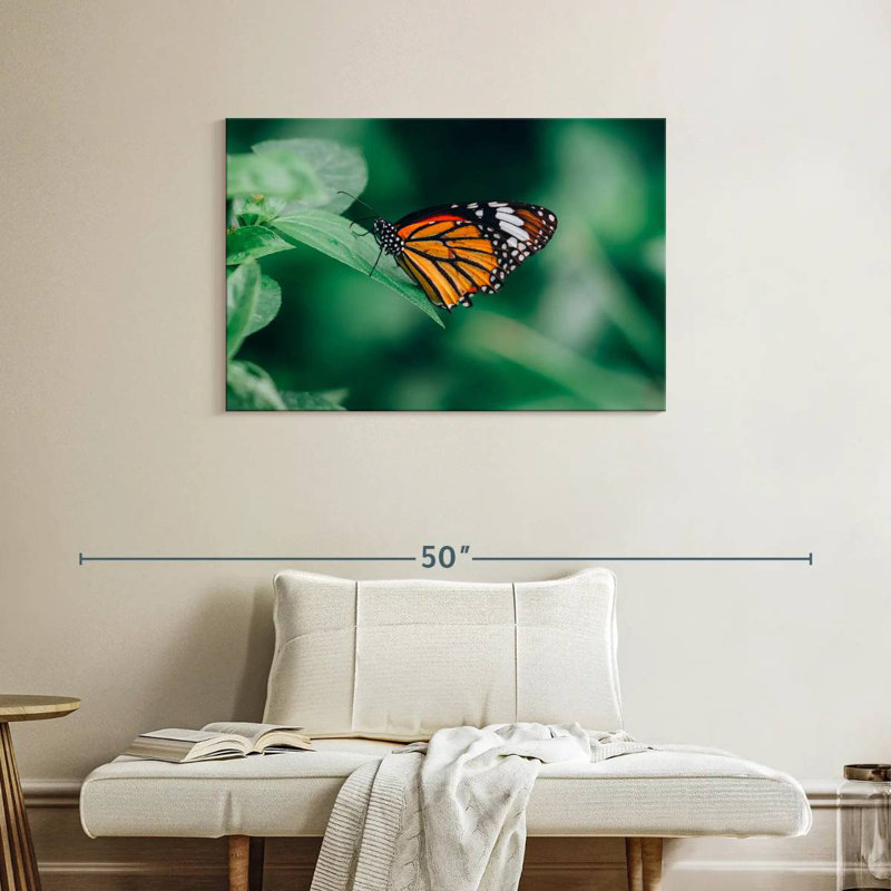 Brampt Orange Butterfly, 24" H x 36" W