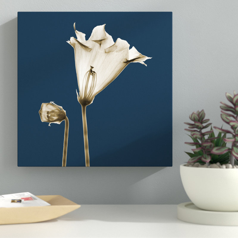 «Blue Luster Gloxinia», impression sur toile tendue, H 12 po x l 12 po