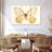 Butterfly Memento-107954630