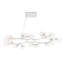 Mahowald Fixed Chandelier