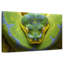 Python vert ardent Brampt-108913471