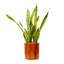 Pot à fleurs en plastique de style moderne avec arrosage automatique