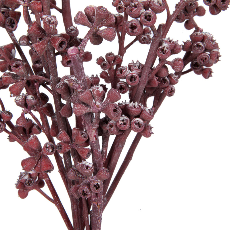 13'' Branch, Red