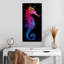 Couleurs de l'hippocampe-378123684