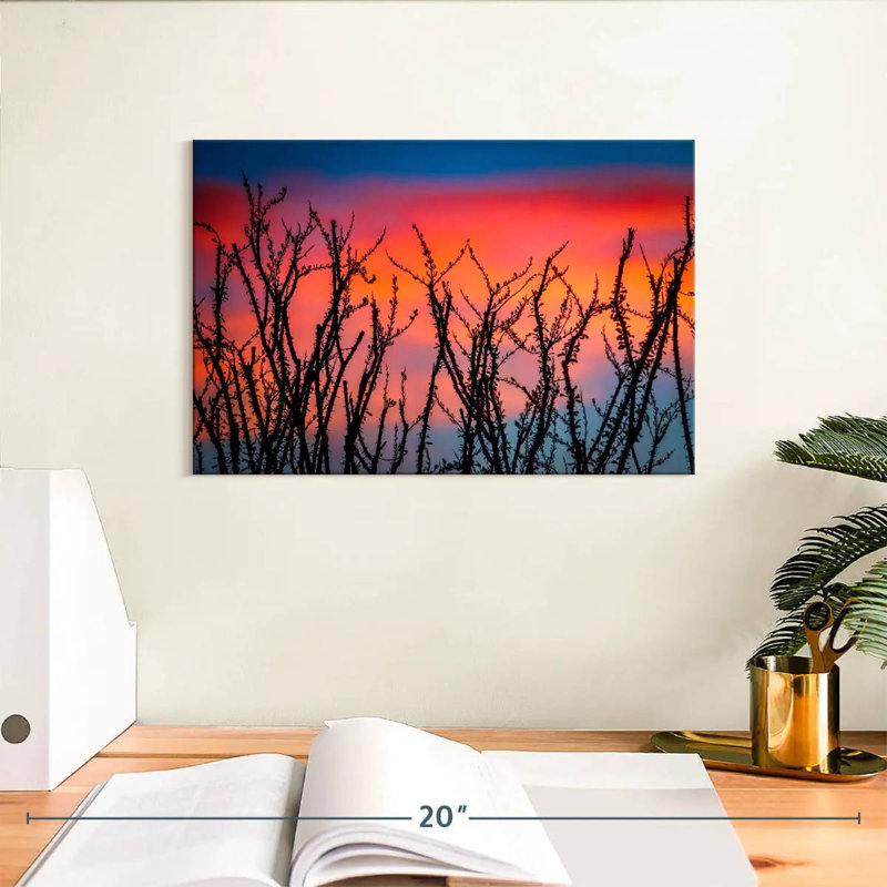 Harnek Ocotillo au coucher du soleil, H 8 po x l 12 po
