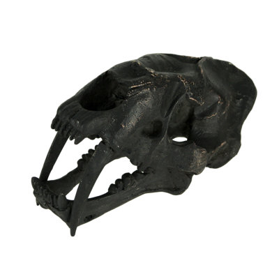 Gyles Gothic black resin Smilodon saber-toothed cat skull statue for shelf decor — 7 in. long x 3.75 in. high x 3.5 in. wide