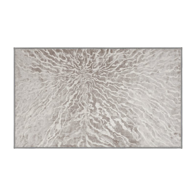 Machine Washable Gray Area Rug