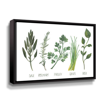" Watercolor Herbs " Watercolor Painting