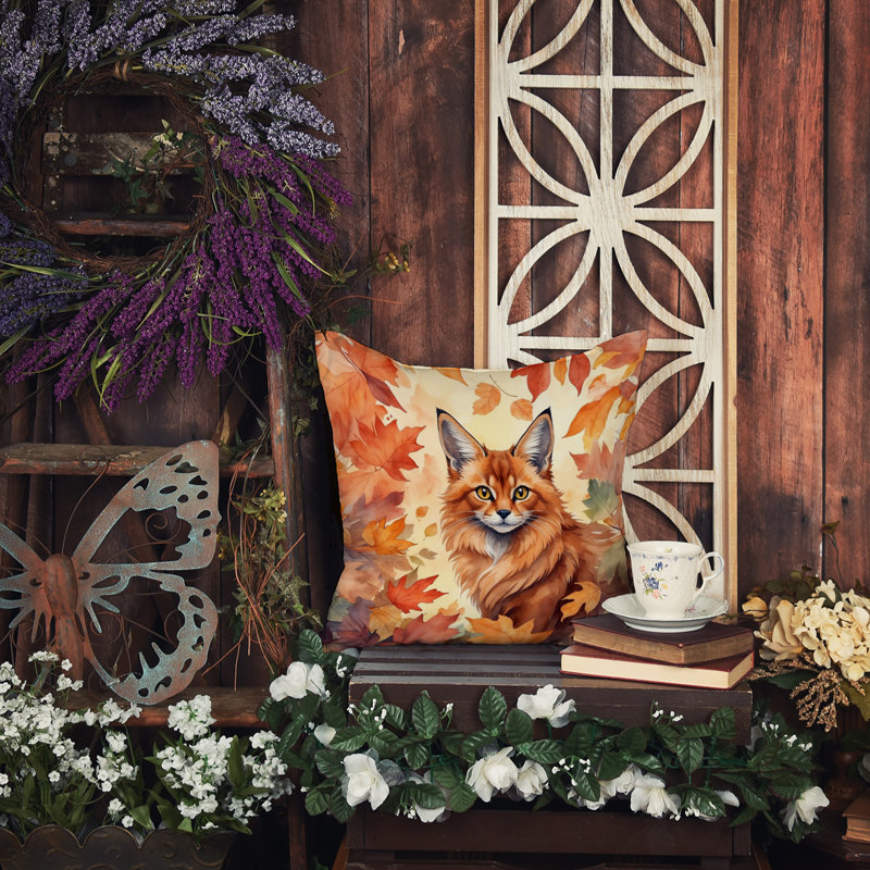 Coussin Somali, Carré 14 po