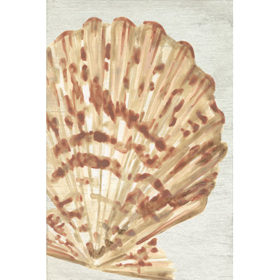 Taymon Vintage Shell Vignette III by June Erica Vess - Wrapped Canvas Print