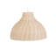 Teri 1 - Light Dome Pendant