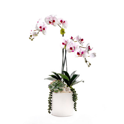 Fabric Orchid Faux Floral in Pot
