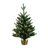 White 2' Pre-Lit Pine Christmas Tree