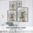 Rabbit In Dandylions Framed Print - Solid Wood-509745860