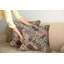 429942_Ambesonne Leopard-97809367