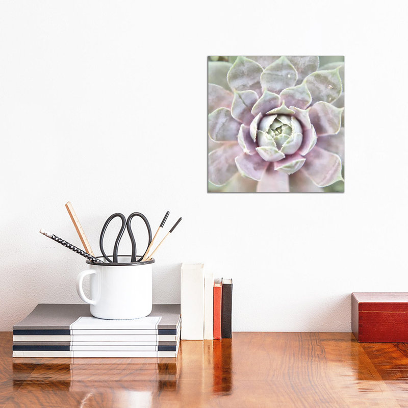 Succulent Glow I by Jason Johnson - Wrapped Canvas Print, 30.48 cm H x 30.48 cm W