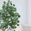 4ft. Artificial Eucalyptus Tree