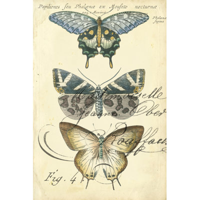 «Butterfly Ephemera IV», peinture sur toile