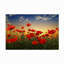 Décoration murale d'extérieur Aminatou Poppies-748111841