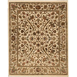 Hand Woven Silk and Wool Oriental Area Rug
