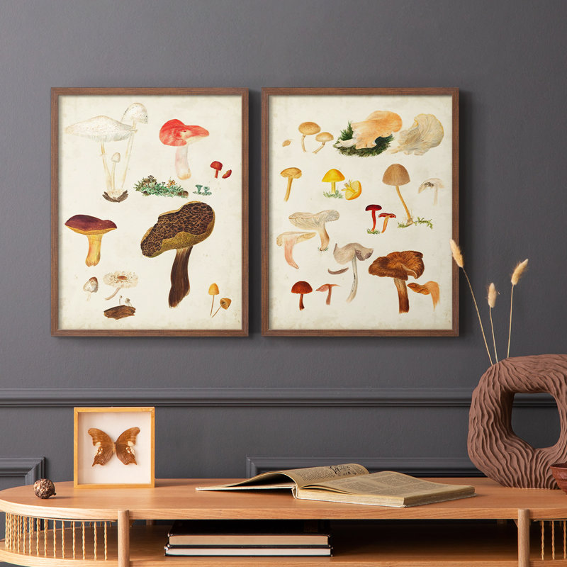 Reproduction encadrée de champignon de qualité supérieure - prêt à accrocher - aucun clou requis, Noyer, H 15 po x l 24 po